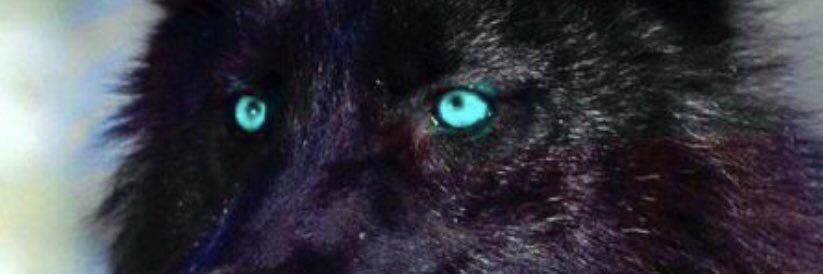 🇹🇷Fatih🇹🇷 banner