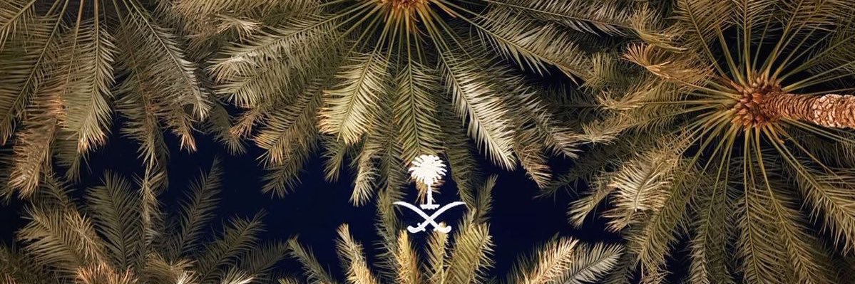 shemo_az's profile banner image