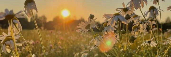 dinaloo1's profile banner image