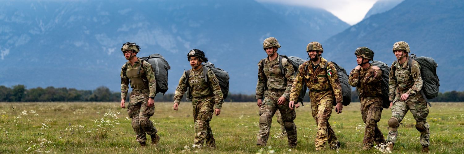 NATO's banner