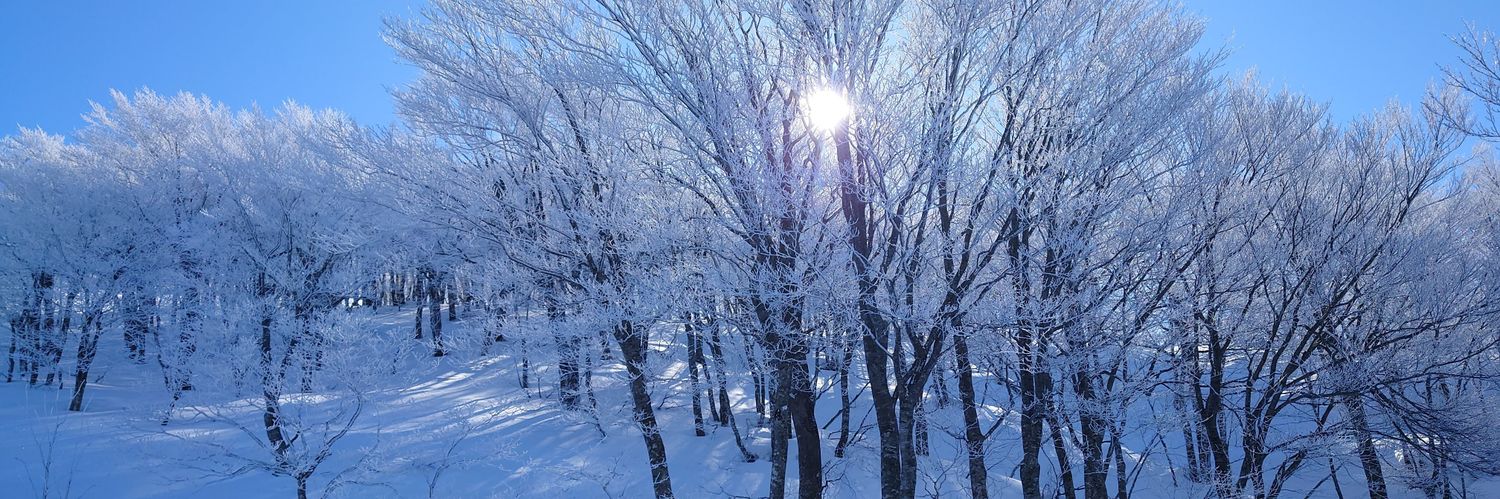 かちゅや@雪遊びシーズン banner