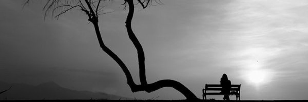 NI 🍁 banner