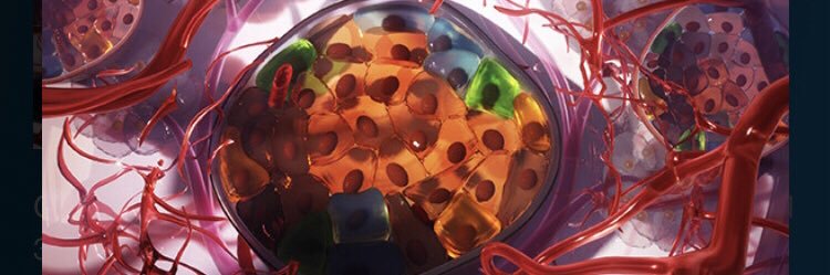 Yassi Aghazadeh banner