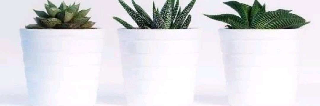 Kamila9688's profile banner image