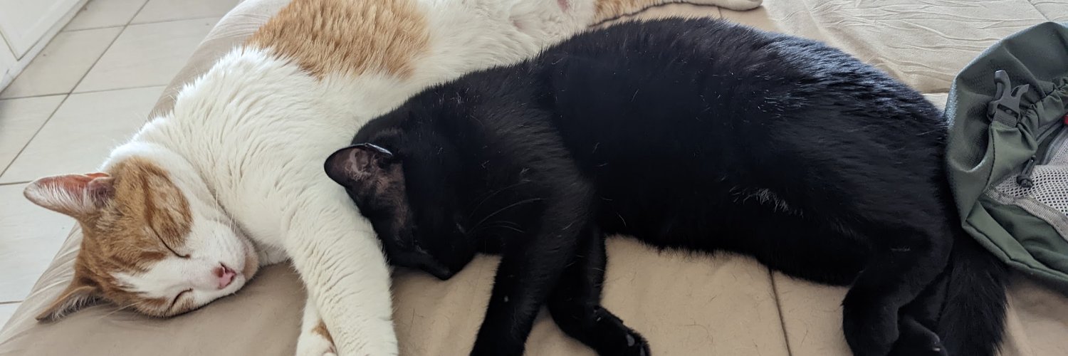 Gabvy Rodriguez banner