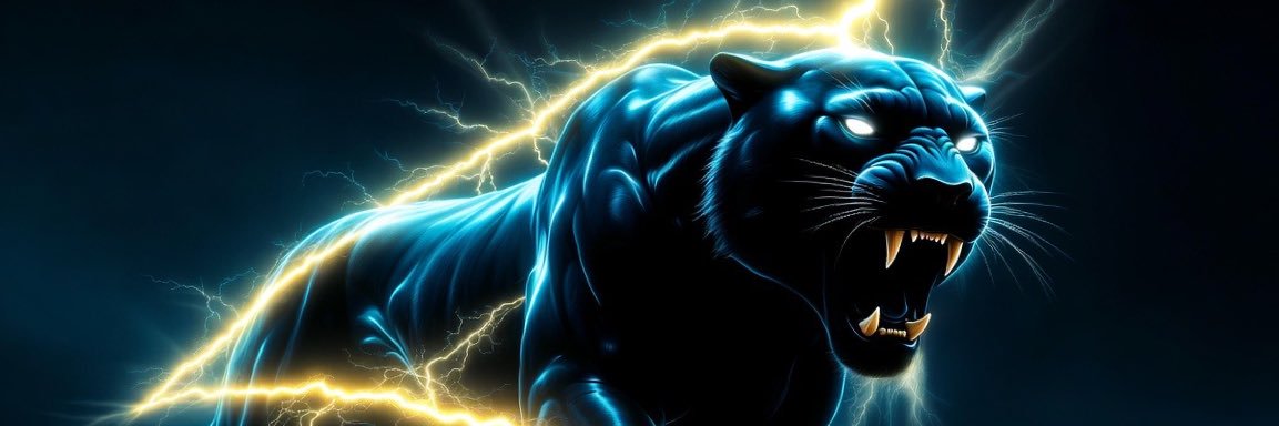 Tom⚡️ banner