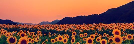 twizzzle93's profile banner image