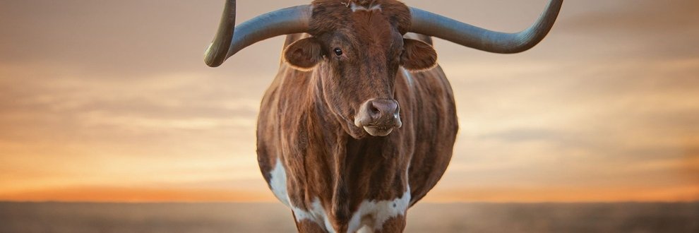 Saravanan S banner