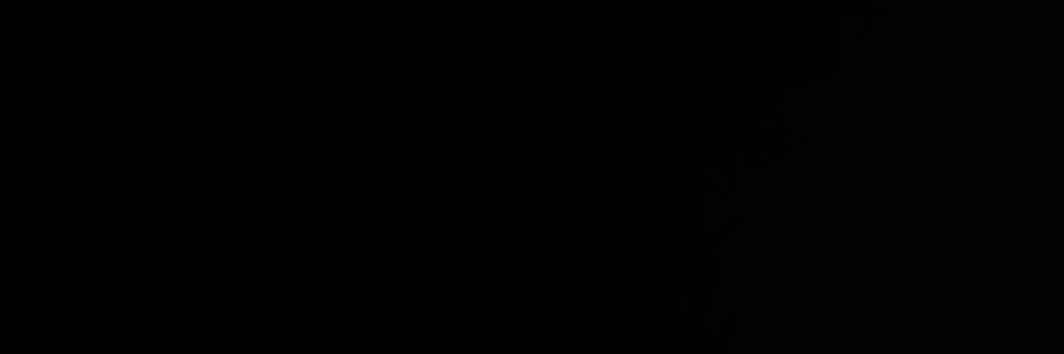 Bigodin ᶜʳᶠ banner