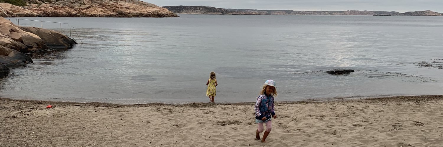 Eric Sundström banner