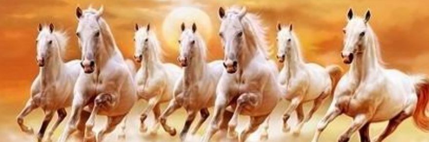 Priya_TradeView's profile banner image