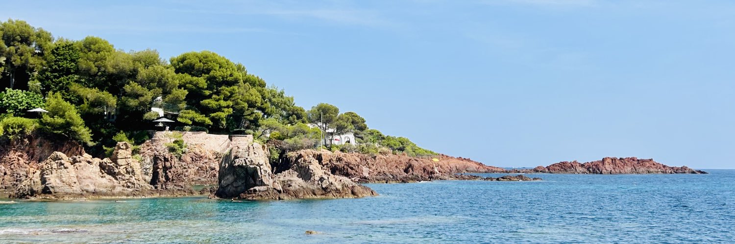 𝐑𝐨𝐫𝐨 ✨ banner