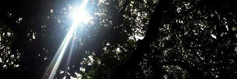 FlorMazzoni19's profile banner image