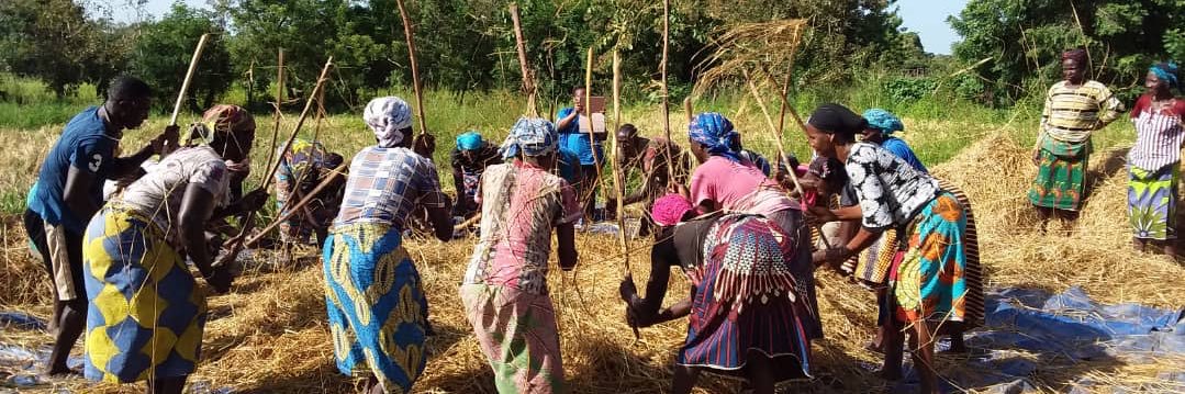 Adeyinka Badejo banner