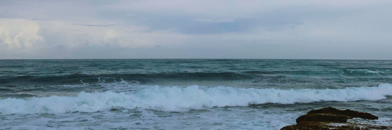 𝑨𝒍𝒚𝒔𝒉𝒂♡ banner
