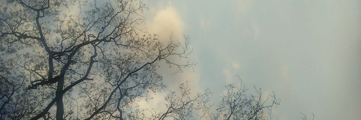 ccimperio's profile banner image