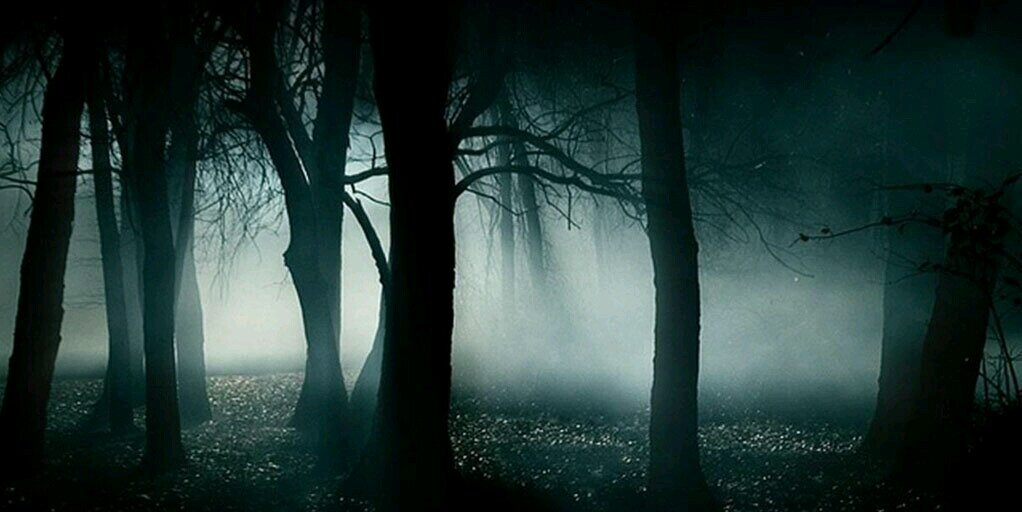 adam o'connell banner