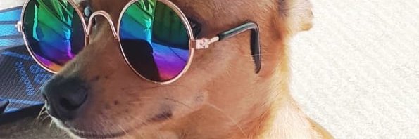 ConfusoPanic's profile banner image