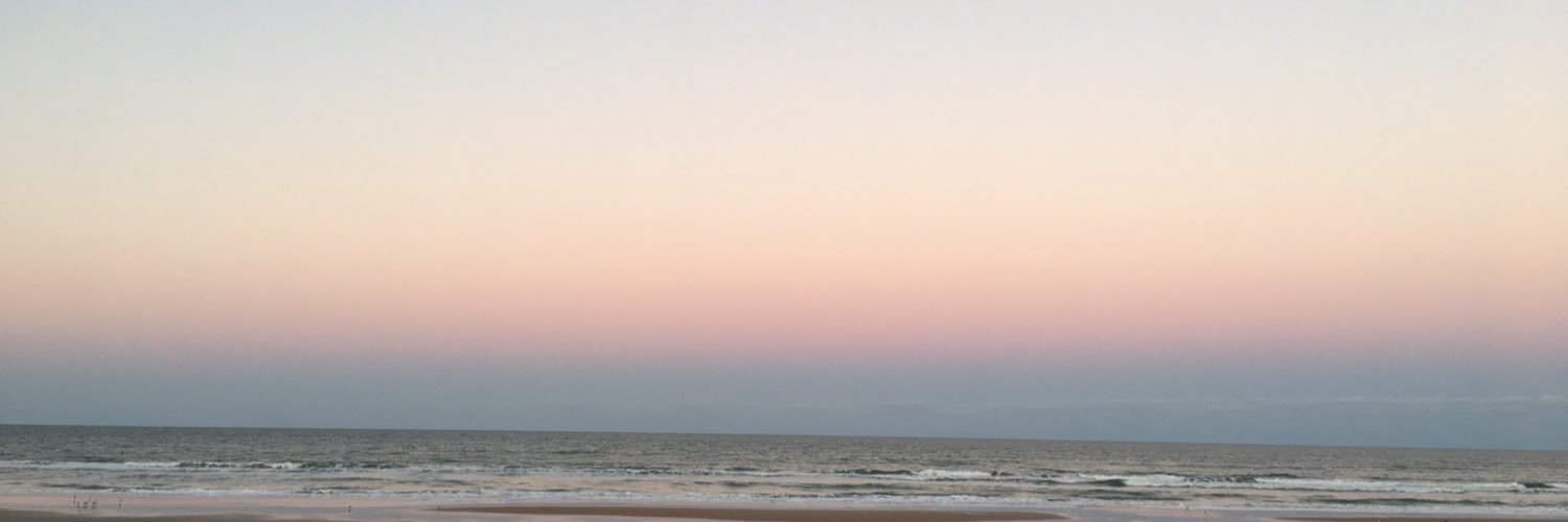 laurel_thrift's profile banner image