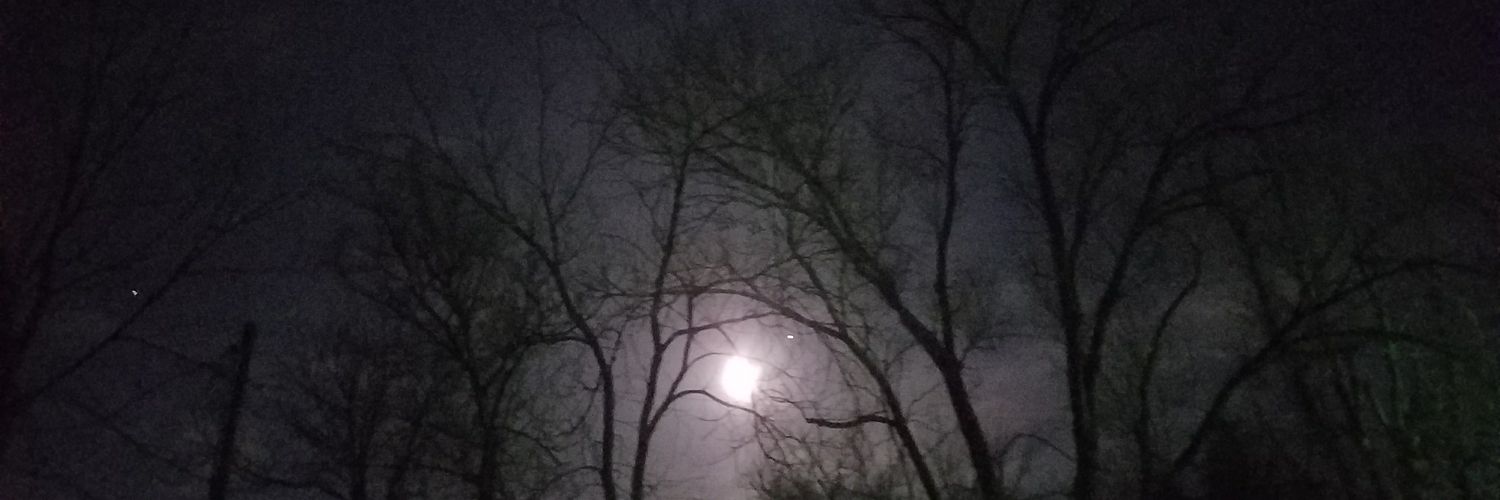 demolane13's profile banner image