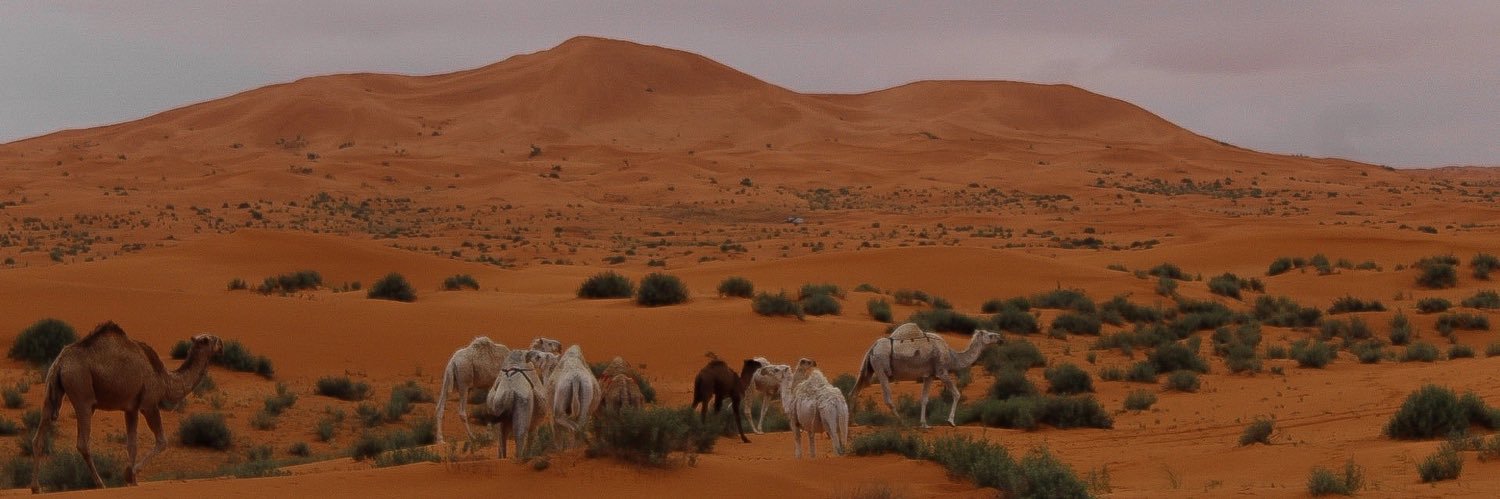 ADWA_23's profile banner image