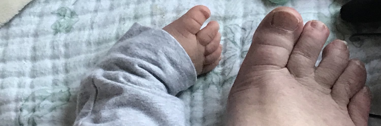 WillowBanks ☮️🇺🇦 banner