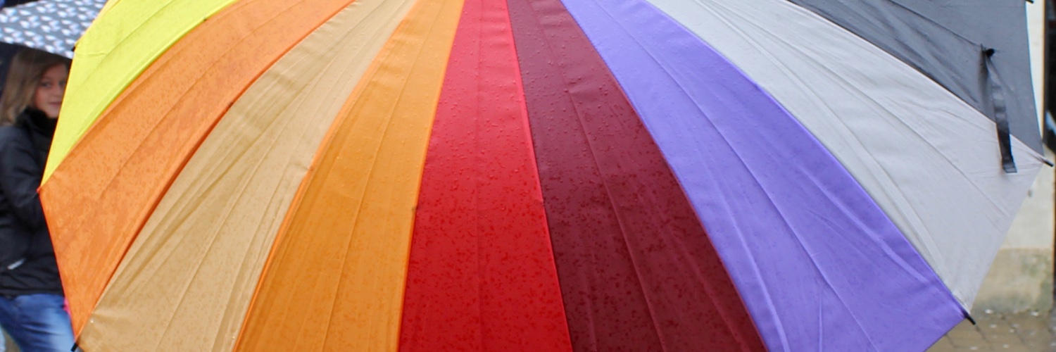 Judith Cook FIEDP banner
