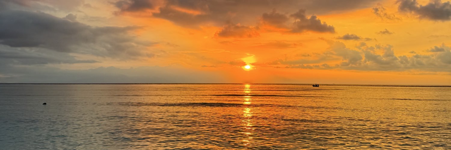 aligunan1's profile banner image