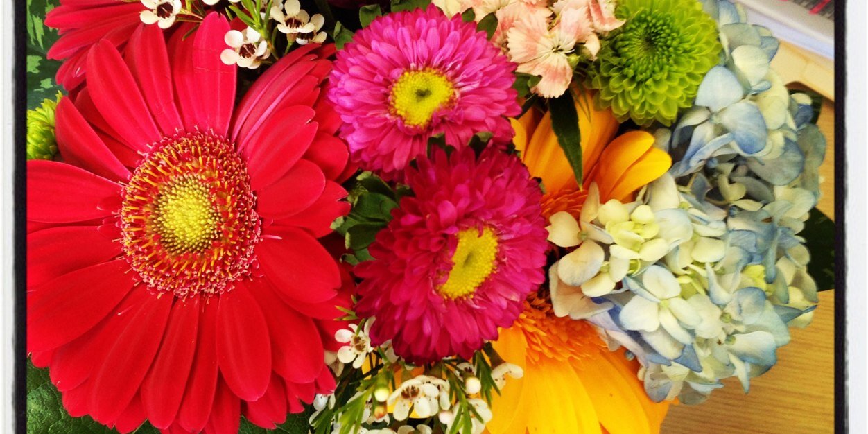 Heather Miller banner