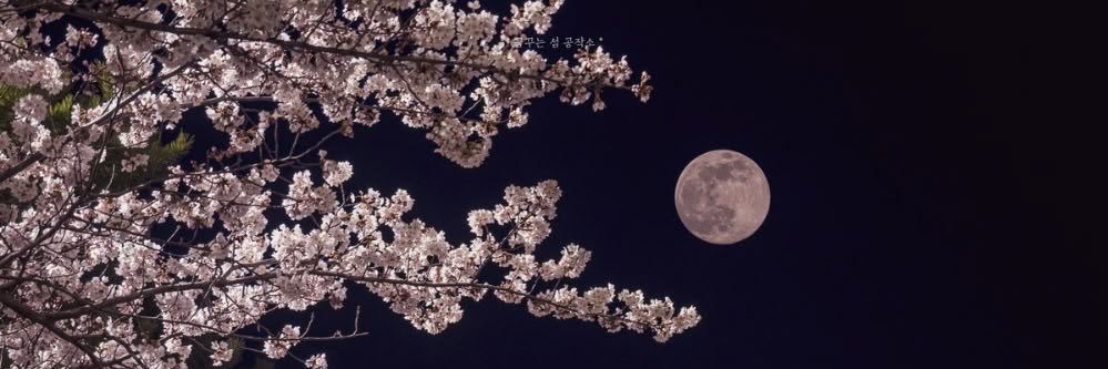 성화 banner