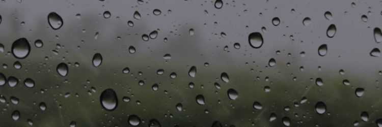 irdeemw's profile banner image