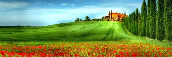 vanianose Profile Banner