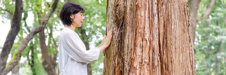 hiro_e's profile banner image