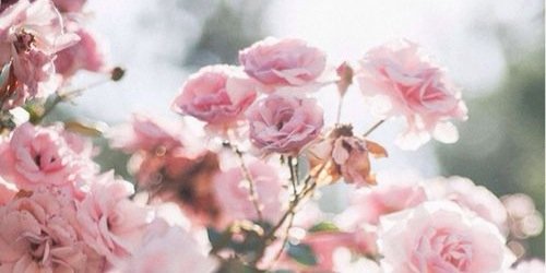 chinzgee's profile banner image