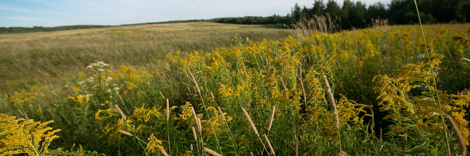 Mining Association of Nova Scotia banner