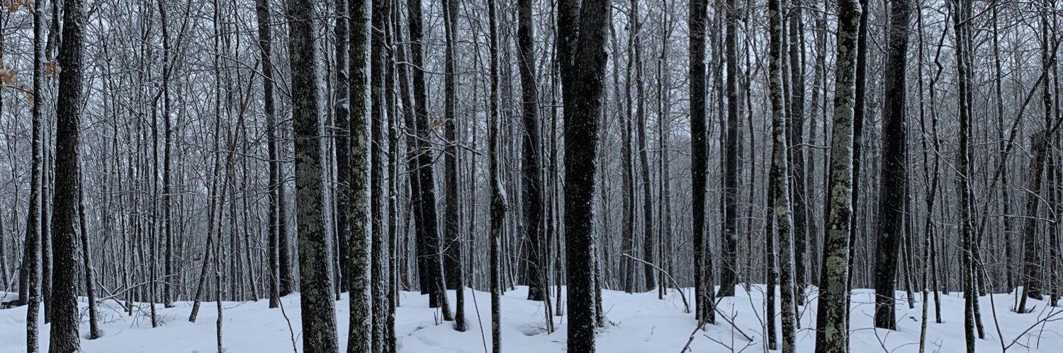 jonathan_ebel's profile banner image