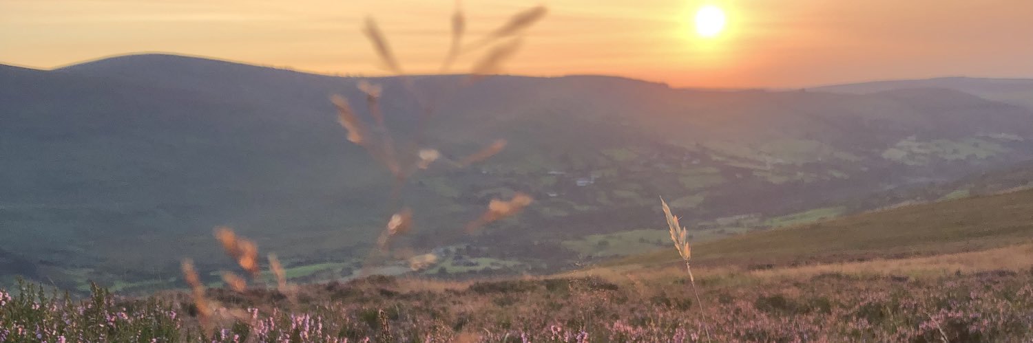 ciaragibney's profile banner image