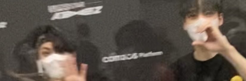 Sarah Fauduet banner