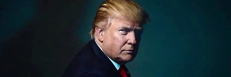TrollDonnyTrump's profile banner image