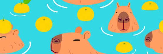 015bitch's profile banner image