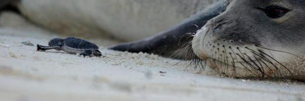 EEEClark's profile banner image