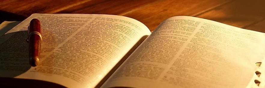booksranking's profile banner image