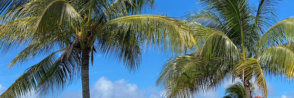 tashaali7 Profile Banner