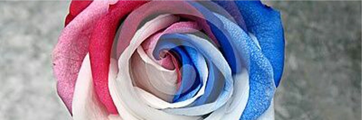 BelleIsaEmue's profile banner image