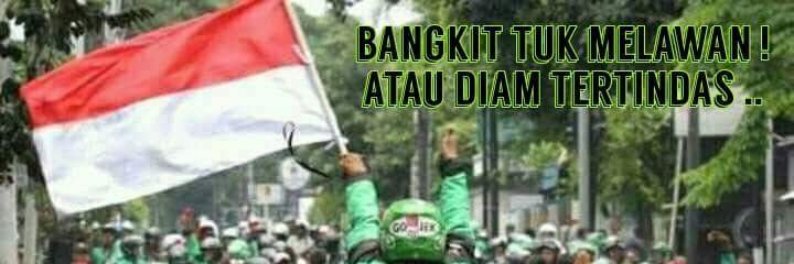 zofi banner