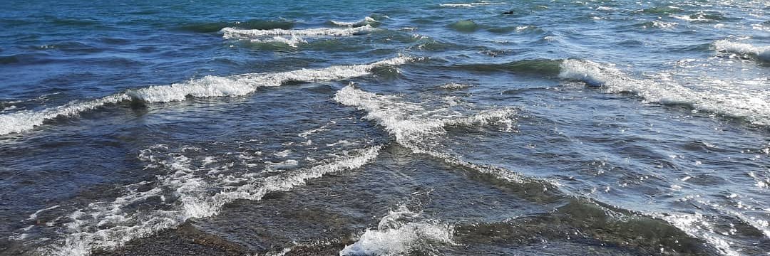 Doug Peterson 🇨🇦 banner