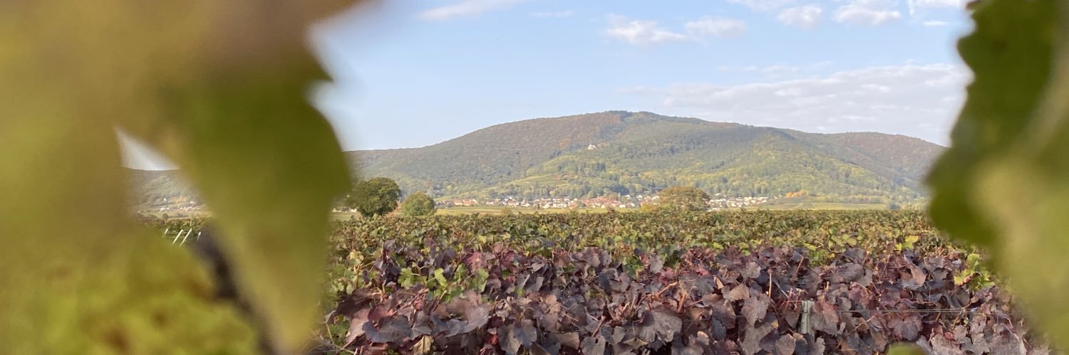 weinkoenig's profile banner image
