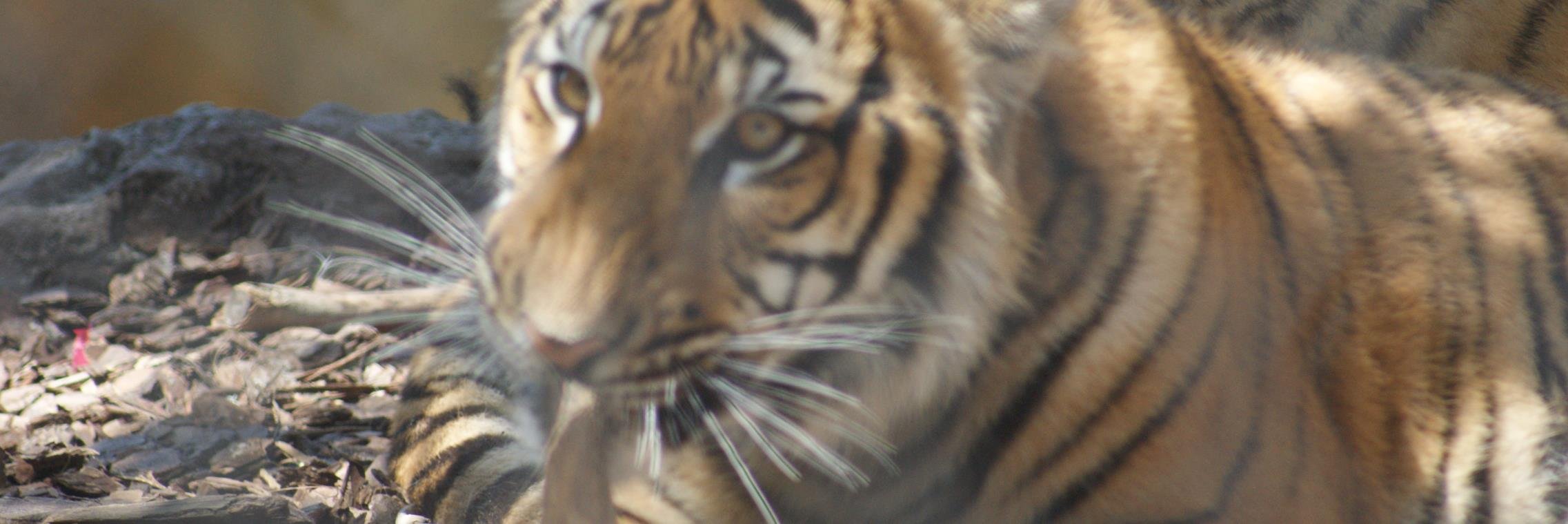 Deborah39358374's profile banner image