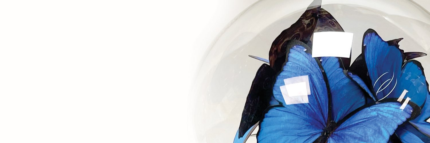 MariaAris17's profile banner image