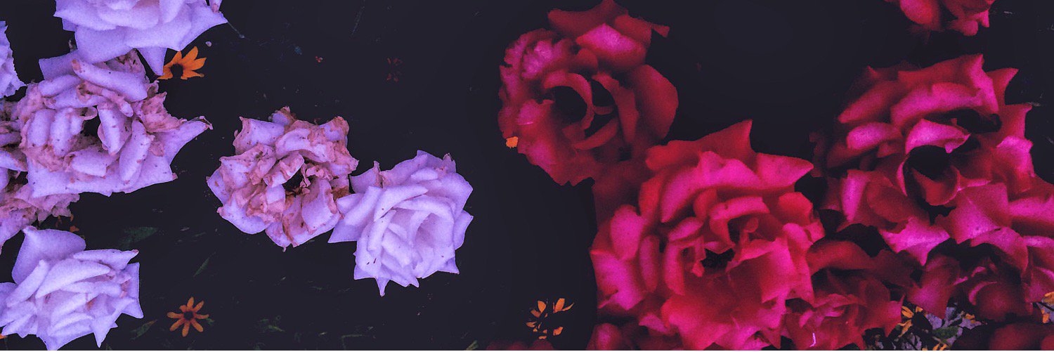 01nelya's profile banner image